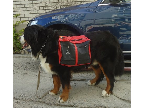 Collar Dog Extreme сумка на спину собаке  - 2 фото