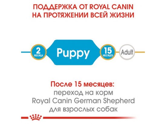 Royal Canin GERMAN SHEPHERD PUPPY (НЕМЕЦКАЯ ОВЧАРКА) корм для щенков до 15 месяцев - 6 фото