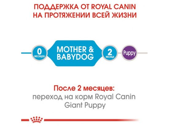 Royal Canin GIANT STARTER MOTHER & BABYDOG корм для беременных и кормящих сук и щенков гигантских-пород - 5 фото