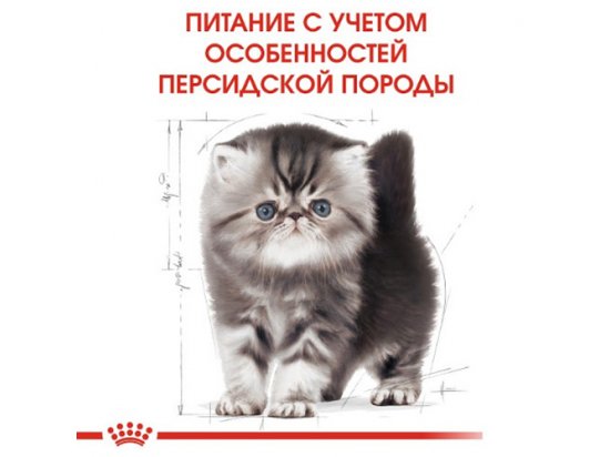 Royal Canin KITTEN PERSIAN 32 (КИТТЕН ПЕРСИАН) корм для котят от 4-12 месяцев - 3 фото