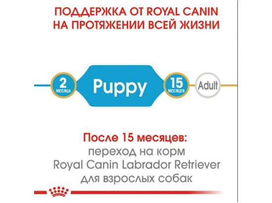 Фото - сухий корм Royal Canin LABRADOR RETRIEVER PUPPY (ЛАБРАДОР РЕТРІВЕР ПАППІ) корм для цуценята до 15 місяців