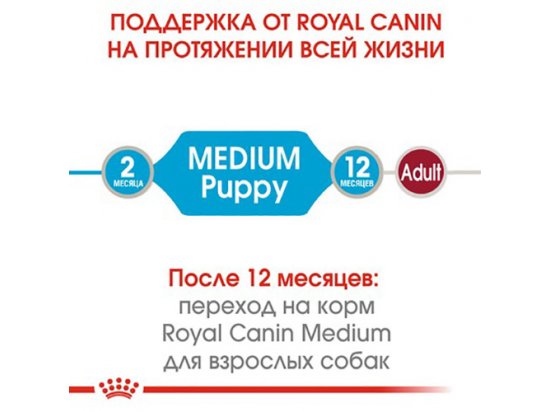 Фото - вологий корм (консерви) Royal Canin MEDIUM PUPPY вологий корм для цуценят середніх порід від 2 до 12 місяців