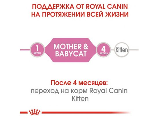 Royal Canin MOTHER & BABYCAT (БЕБИКЕТ ИНСТИНКТИВ) Влажный корм для котят с рождения до 4 месяцев - 5 фото