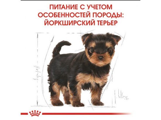 Royal Canin YORKSHIRE TERRIER PUPPY (ЙОРКШИР ТЕРЬЕР ПАППИ) корм для щенков до 10 месяцев - 4 фото