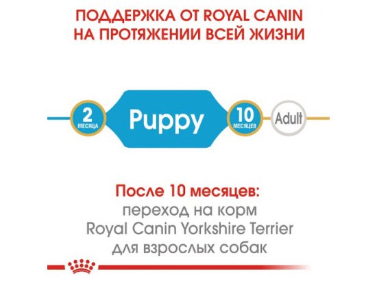 Фото - сухий корм Royal Canin YORKSHIRE TERRIER PUPPY (ЙОРКШИР ТЕР'ЄР ПАППІ) корм для цуценята до 10 місяців