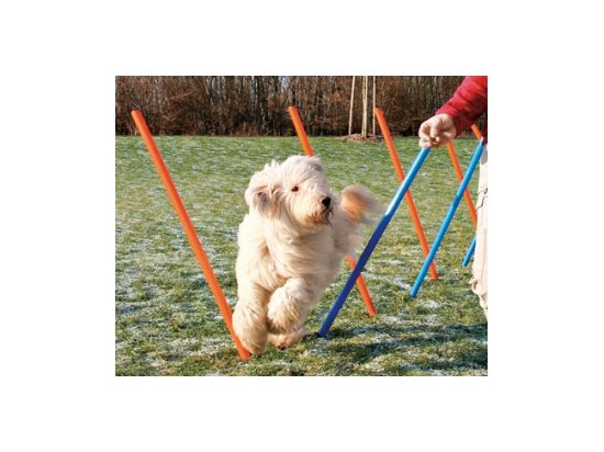 Trixie Slalom (Трикси Слалом) - палки для тренировки ловкости собак (3206) - 2 фото