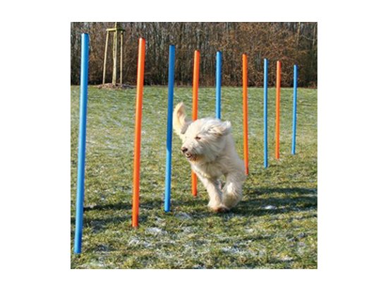 Trixie Slalom (Трикси Слалом) - палки для тренировки ловкости собак (3206)