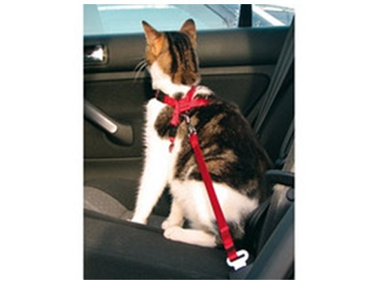 Фото - шлейки, ошейники Trixie Шлея безопасности для котов в авто (1294)