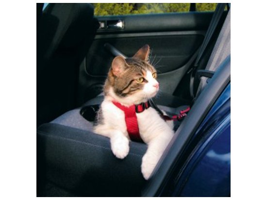Фото - шлейки, ошейники Trixie Шлея безопасности для котов в авто (1294)