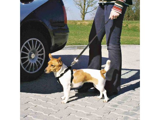 Trixie Автомобильный ремень безопасности для собак - 5 фото