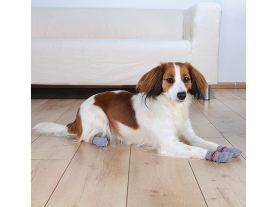 Фото - обувь Trixie Защитные носки для собак, серый