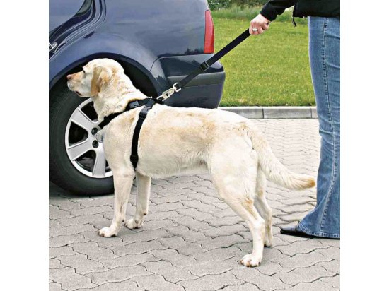 Trixie Автомобильный ремень безопасности для собак - 2 фото