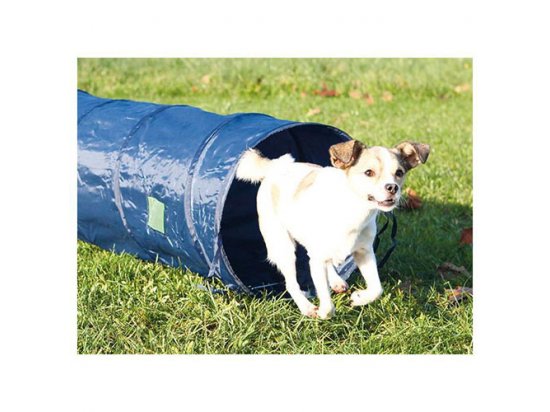 Фото - дрессировка и спорт Trixie Agility Tunnel - Тоннель для аджилити (дрессировки ) маленьких собак и щенков (3210)