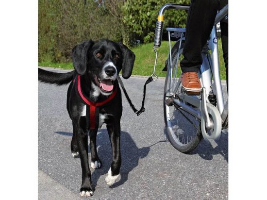 Фото - велоаксесуари Trixie Biker-Set - Велонабір для собак з кріпленням до велосипеда (1287)