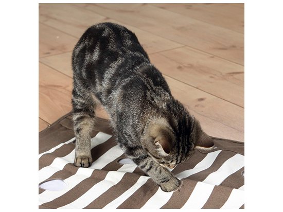 Фото - игрушки Trixie Cat Activity - игровая подстилка для кошек с отверстиями