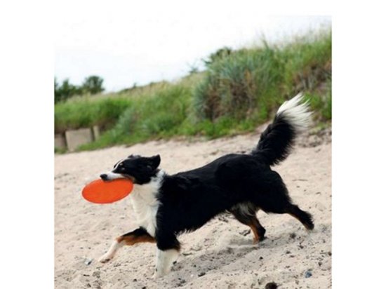 Фото - игрушки Trixie DOG DISC (ДИСК ФРИСБИ) игрушка для собак