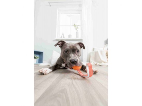 Фото - игрушки Trixie Soft & Strong BALL WITH ROPE игрушка для собак, мяч на веревке, резина