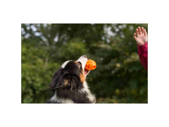 Фото - іграшки Trixie Soft & Strong RUGBY BALL игрушка для собак, мяч регби, резина
