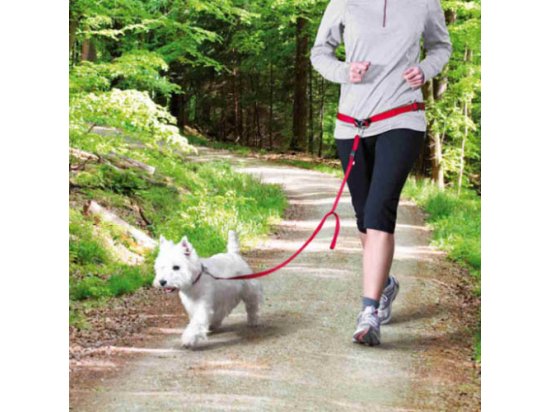Фото - амуниция Trixie WAIST BELT WITH LEASH поводок с поясным ремнем для мелких и средних собак (12765)