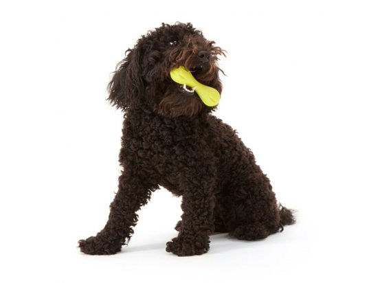 Фото - іграшки West Paw HURLEY DOG BONE іграшка-кісточка для собак МАЛЕНЬКА