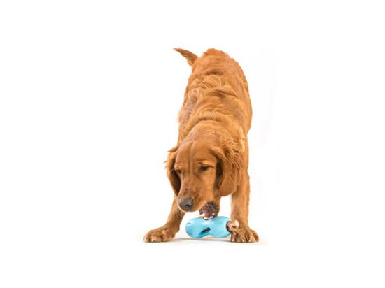 Фото - игрушки West Paw QWIZL TREAT TOY игрушка-кормушка для собак МАЛЕНЬКАЯ
