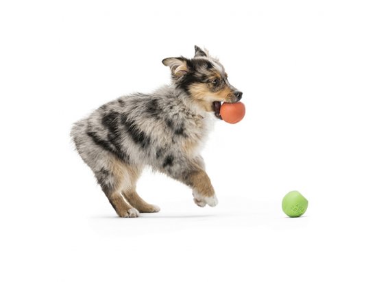 Фото - іграшки West Paw RANDO іграшка-м'яч для собак ВЕЛИКИЙ