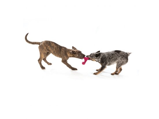 Фото - іграшки West Paw WOX DOG TOY іграшка-тринога для собак