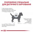 Фото - ветеринарні корми Royal Canin ANALLERGENIC SMALL DOG ​​сухий лікувальний корм для собак дрібних порід