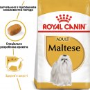 Фото - сухой корм Royal Canin MALTESE ADULT (МАЛЬТИЙСКАЯ БОЛОНКА ЭДАЛТ) корм для собак от 10 месяцев
