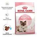 Royal Canin Mother & Babycat (БЕБІКЕТ) сухий корм для кошенят 1-4 місяці, вагітних та лактуючих