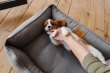 Фото - лежаки, матраси, килимки та будиночки Harley & Cho DREAMER GRAY лежак для собак, сірий