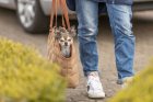 Фото - переноски, сумки, рюкзаки Trixie CASSY сумка-переноска для животных, коричневый