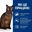 Фото - ветеринарные корма Hill's Prescription Diet m/d Diabetes/Weight Management корм для кошек с курицей