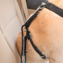 Фото - аксессуары в авто Kurgo Direct to Seatbelt Tether автомобильный ремень безопасности для собак, черно-серый