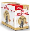Фото - вологий корм (консерви) Royal Canin BRITISH SHORTHAIR ADULT вологий корм для котів породи британська короткошерста