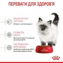 Royal Canin KITTEN (КІТТЕН) корм для кошенят до 12 місяців
