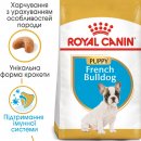 Фото - сухий корм Royal Canin FRENCH BULLDOG PUPPY (ФРАНЦУЗЬКИЙ БУЛЬДОГ ПАППІ) корм для цуценята до 12 місяців