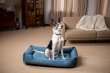 Фото - лежаки, матрасы, коврики и домики Harley & Cho DREAMER DENIM лежак для собак, синий