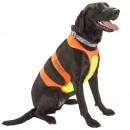 Фото - амуниция Coastal (Костал) For Hunting Dogs Chest Protector нагрудная защита для охотничьих собак оранжевый