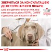 Фото - ветеринарні корми Royal Canin HYPOALLERGENIC SMALL DOG сухий лікувальний корм для собак дрібних порід