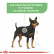 Фото - сухой корм Royal Canin MINI DIGESTIVE CARE корм для собак мелких пород с чувствительным пищеварением (до 10 кг)