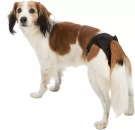 Фото - памперсы и трусики Trixie Защитные трусики для собак во время течки