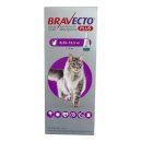 Фото - от глистов BRAVECTO (Бравекто) ПЛЮС Spot-On капли от блох, клещей и гельминтов для кошек