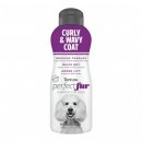 Фото - повседневная косметика Tropiclean CURLY & WAVY COAT Шампунь для кучерявой и волнистой шерсти собак