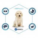 Advance (Едванс) Dog Maxi Puppy - корм для цуценят великих порід (з куркою та рисом)