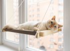 Фото - спальные места, лежаки, домики PetJoy Гамак на окно для кота, белый / бежевый