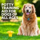 Фото - дресирування та спорт Simple Solution Pee Post Pheromone - Пі Пост для привчання собак ходити в туалет у певне місце