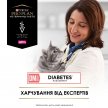 Фото - ветеринарні корми Purina Pro Plan (Пуріна Про План) Veterinary Diets DM Diabetes Management вологий лікувальний корм для кішок при цукровому діабеті