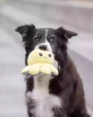 Фото - игрушки Trixie ОСЬМИНОГ двусторонняя игрушка для собак, 19см (35928)