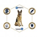 Advance (Эдванс) Dog Maxi German Shepherd - корм для взрослых немецких овчарок (c индейкой и рисом)